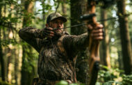 Best Takedown Recurve Bow 2026: Reviews + Buying Guide